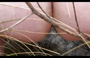 XXX لزبین های زیبا به ساحل برهنه آمدند سکس شاه کس و رابطه جنسی برقرار کردند