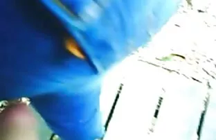 XXX انفرادی از کس و سکس کالی رز