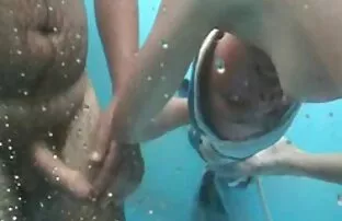 XXX آوا تیلور سکس کسو