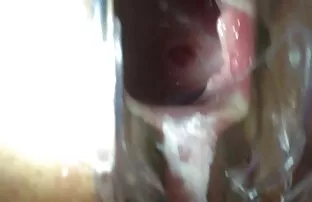 XXX کایدن کراس کیرعکس