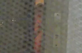 XXX ابیگیل مک گیف سکسی کس